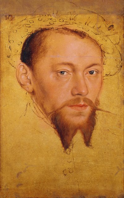 Moritze, Duke of Saxony, later Elector by Lucas Cranach the Younger